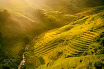 Mù Căng Chải đẹp như tranh qua ống kính phó nháy quốc tế 