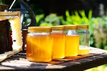 3 độc tố chết người ẩn chứa trong nhà bếp nhất định phải tránh xa