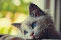 Trời ban lộc lớn năm 2025, 4 tuổi tiền nhiều như nước, giàu sụ