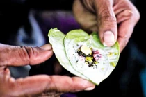 Vì sao người Việt xưa “nghiện” ăn trầu?