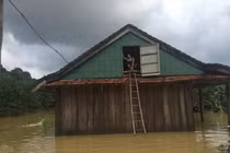 Bão số 8 đổ bộ: Bật mí cái “tra” của người dân miền Trung