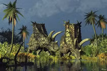 Kinh ngạc vũ khí phòng thủ đáng gờm của khủng long mặt sừng