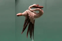 Bí ẩn con thiên nga nhồi len 2.300 năm tuổi ở Siberia