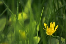 Người sinh tháng Âm này được lòng người, kiếm tiền thuận tay 