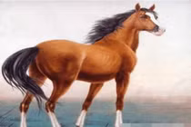 Hợp vía Thần Tài, 3 con giáp giàu không phanh 10 ngày tới