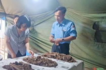 Phát hiện 32 hài cốt liệt sĩ tại mộ tập thể ở Gia Lai