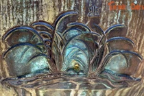 Lý thú 9 loại rau củ được khắc trên Cửu Đỉnh nhà Nguyễn