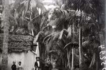 Ảnh cực hiếm về làng Dừa ở tỉnh Hà Đông thập niên 1920 (2)