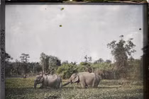 Ảnh chất lừ về cuộc sống ở vùng nông thôn Campuchia năm 1921 