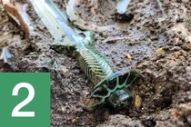 Top 10 phát hiện khảo cổ học nổi bật thế giới năm 2023