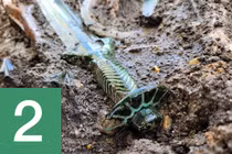 Top 10 phát hiện khảo cổ học nổi bật thế giới năm 2023