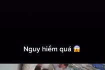 Video: 'Núi' bao tải gạo đổ đè lên nam nhân viên và cái kết 