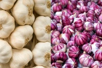 Đều là tỏi, loại vỏ tím tốt hơn hay loại vỏ trắng tốt hơn? 