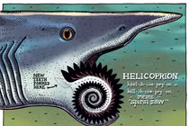 Soi loài cá mập có bộ răng kinh dị nhất từng tồn tại 