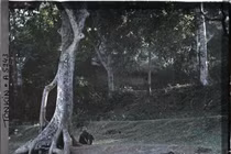 Ngoại thành Hà Nội đầu thế kỷ 20 qua loạt ảnh màu tuyệt đẹp (1)