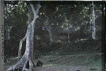 Ngoại thành Hà Nội đầu thế kỷ 20 qua loạt ảnh màu tuyệt đẹp (1)