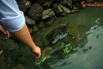 Sửng sốt đại dương trong lòng hồ trên hòn đảo nhỏ gần Nha Trang