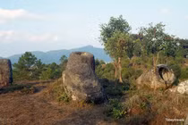 Cánh đồng chum huyền bí của Lào qua ống kính khách quốc tế