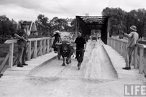 Hình độc về cuộc sống ở thị xã Lạng Sơn năm 1950