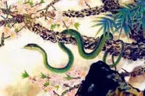 Cuối tháng 10/2023, 3 con giáp vận may, tài lộc, sự nghiệp tăng vọt