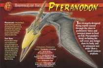 Sự thật giật mình về quái vật bay nổi tiếng nhất mọi thời