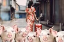 Bạn gái chung sống 4 năm biến mất khi người yêu nằm viện 