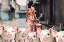 Bạn gái chung sống 4 năm biến mất khi người yêu nằm viện 