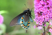 Quý nhân phù trợ: Ai sinh tháng Âm lịch này dễ gặp hiền nhân, biến rủi thành may