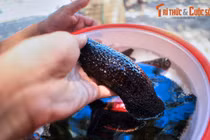 10 điều tuyệt hay phải trải nghiệm ở hòn đảo lớn nhất Hội An