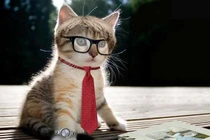 5 con giáp phú quý hỷ tài: 2023 cát lợi, 2024 mua nhà tậu xe