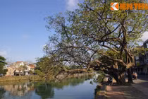 Điều tuyệt vời của 4 dòng sông nổi tiếng xứ Huế