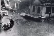 “Đại họa năm Thìn” 1964 tàn khốc đến mức nào?