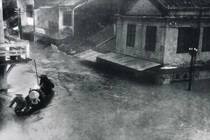 “Đại họa năm Thìn” 1964 tàn khốc đến mức nào?