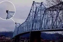 Sinh vật bí ẩn nào trên trái đất con người chưa từng tiếp xúc?