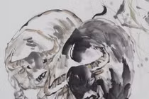 4 con giáp càng lớn tuổi càng phúc lộc, Hổ mang đến phú quý