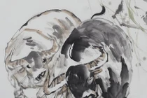 4 con giáp càng lớn tuổi càng phúc lộc, Hổ mang đến phú quý