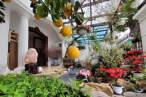 Biệt thự sang trọng ngập hoa Tết của Tuấn Hưng và vợ chủ tịch 