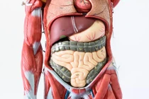 Giải độc nội tạng bằng 5 thức uống buổi sáng này