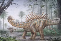 Loài khủng long khổng lồ có hình dạng như một... con nhím