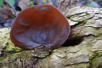 5 loại thực phẩm để qua đêm dễ sinh vi khuẩn, biến đổi tế bào