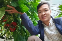 Tự khởi nghiệp 8X Hải Dương lãi nửa tỷ đồng mỗi năm