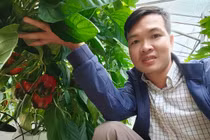 Tự khởi nghiệp 8X Hải Dương lãi nửa tỷ đồng mỗi năm