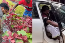 MXH phát sốt với chàng trai lái Audi ra chợ bán rau