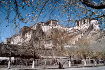 Ảnh đẹp hiếm có về cuộc sống ở Tây Tạng năm 1985 