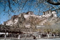 Ảnh đẹp hiếm có về cuộc sống ở Tây Tạng năm 1985 