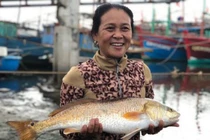 Việt Nam có loài cá miệng rộng, bắt được 1 con đủ ăn cả đời