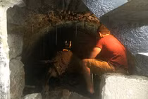 Bỏ tiền mua nhà mới, người đàn ông phát hiện bí mật “khủng” sau bức tường