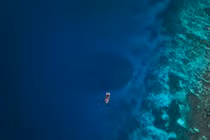 Room rạn san hô lớn nhất thế giới vừa được phát hiện