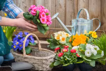 Tháng 4 âm: Người sinh ngày này hỷ sự liên miên ập đến 