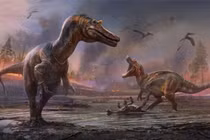 Khủng long không tuyệt chủng, vẫn sống tốt ở 1 nơi bí ẩn? 